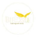 Birdsu